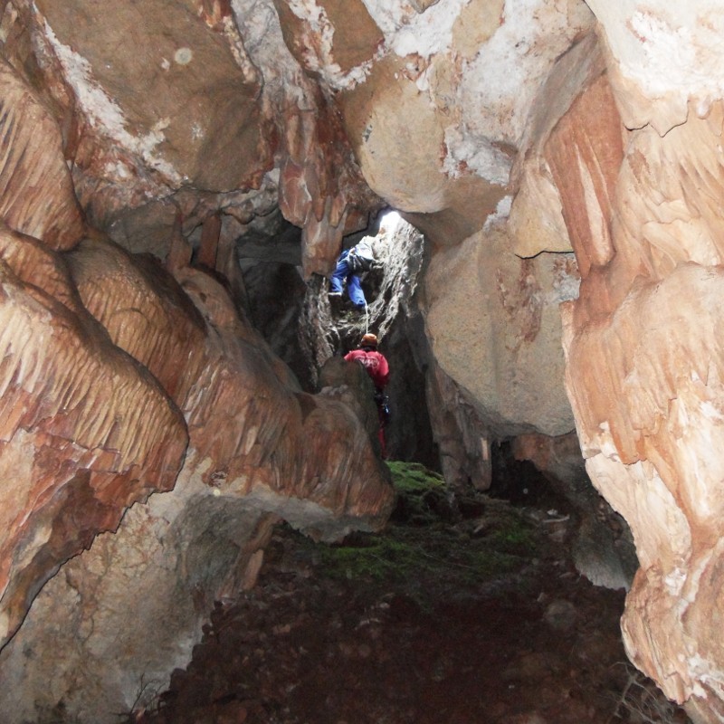 Cuevas